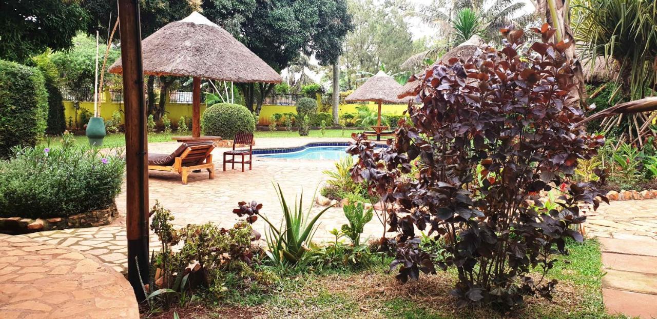 Afro Smile Hotel And Guest House-جينجا المظهر الخارجي الصورة